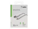 Belkin BOOST CHARGE - Câble Lightning - Lightning mâle pour USB mâle - 2 m - blanc - pour Apple iPad/iPhone/iPod (Lightning)